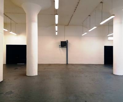 Kiadó Raktárak és ipari épületek, Raktárak és ipari épületek, Priekopa