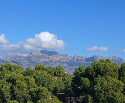 Eladó Családi ház, Családi ház, Alicante / Alacant, Spanyolország