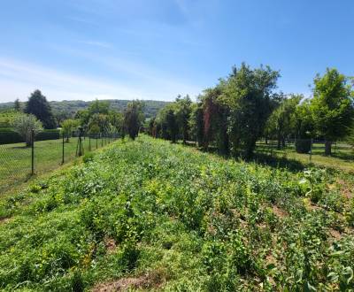 Eladó Építési telek, Építési telek, Neusiedl am See, Ausztria