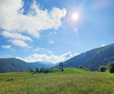 Eladó Mezőgazdasági és erdei telkek, Mezőgazdasági és erdei telkek, Ži