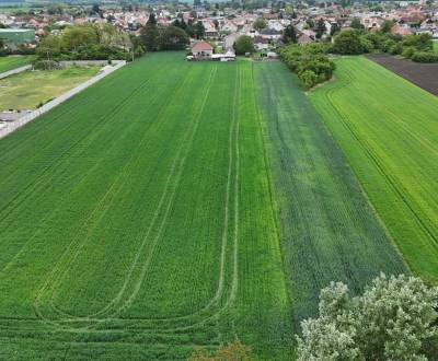 Eladó Építési telek, Építési telek, Slaná dolina, Galanta, Szlovákia