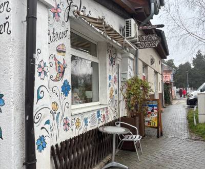 Kiadó Üzlethelység, Üzlethelység, Moyzesova, Senec, Szlovákia