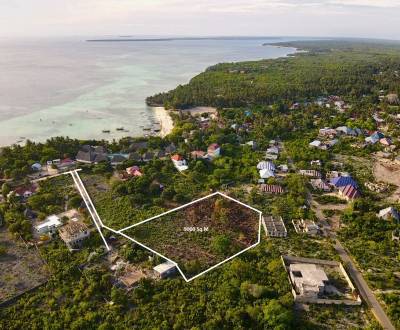 Telek  9000 m2, 100 méterre a strandtól Kizimkaziban