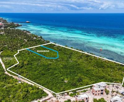 3,2 hektáros sziklafalú ingatlan, Kizimkazi, Zanzibár