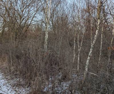 Eladó Kertek, Kertek, Košice - Šaca, Szlovákia