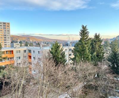 Eladó 1 szobás lakás, 1 szobás lakás, Drobného, Bratislava - Dúbravka,