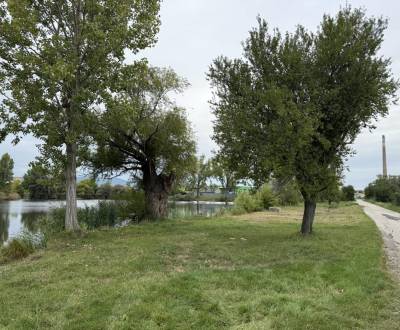 Eladó Mezőgazdasági és erdei telkek, Mezőgazdasági és erdei telkek, Pe