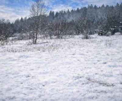 Eladó Üdülőtelkek, Üdülőtelkek, Zádedová, Čadca, Szlovákia
