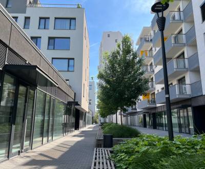 NIVY/JARABINKY - sétálóövezetben üzlethelyiség kiadó