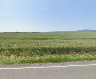 Eladó Mezőgazdasági és erdei telkek, Mezőgazdasági és erdei telkek, Pe
