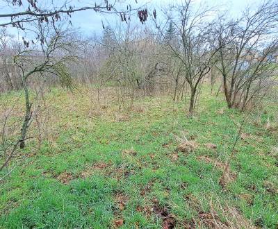 Eladó Építési telek, Építési telek, Levice, Szlovákia