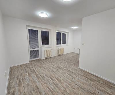 Kiadó Irodahelység, Irodahelység, Pázmaňa, Šaľa, Szlovákia