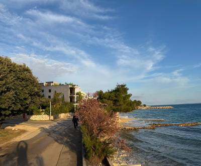 HORVÁTORSZÁG - Apartmanok az 1. sorban (3i) - MANDRE, PAG sziget