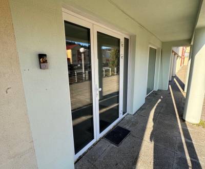 Kiadó Üzlethelység, Üzlethelység, Moyzesova, Považská Bystrica, Szlová