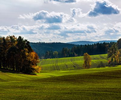 Eladó Mezőgazdasági és erdei telkek, Mezőgazdasági és erdei telkek, Mi
