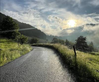 Eladó Mezőgazdasági és erdei telkek, Mezőgazdasági és erdei telkek, Ba