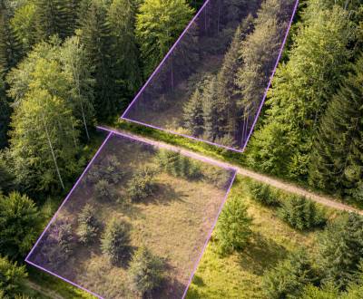 Eladó Mezőgazdasági és erdei telkek, Mezőgazdasági és erdei telkek, Ko