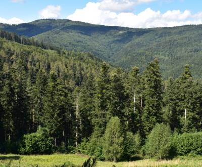 Eladó Mezőgazdasági és erdei telkek, Mezőgazdasági és erdei telkek, Li