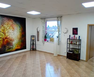 Kiadó Irodahelység, Irodahelység, Sladovnícka, Trnava, Szlovákia