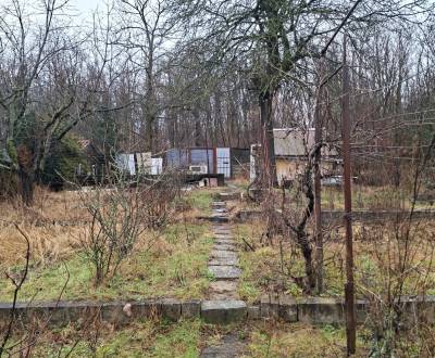 Eladó Kertek, Kertek, Malacky, Szlovákia