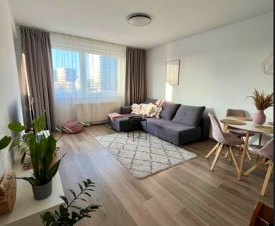 Kiadó 2 szobás lakás, 2 szobás lakás, Bosákova, Bratislava - Petržalka