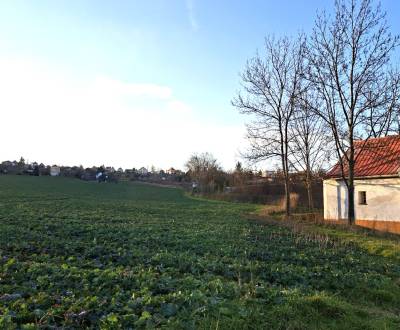 Eladó Üdülőtelkek, Üdülőtelkek, Vinice, Nitra, Szlovákia