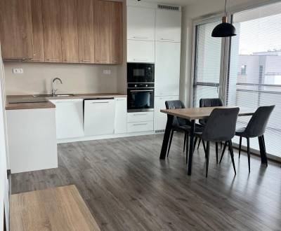 Kiadó 3 szobás lakás, 3 szobás lakás, Alvinczyho, Košice - Staré Mesto