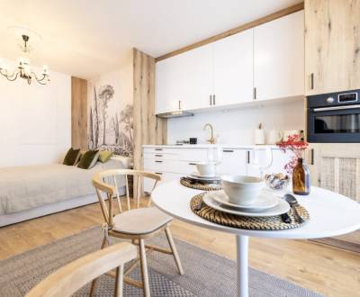 Kiadó 1 szobás lakás, 1 szobás lakás, Benadová, Košice - Staré Mesto, 