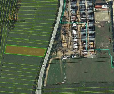 Eladó Mezőgazdasági és erdei telkek, Mezőgazdasági és erdei telkek, Pr