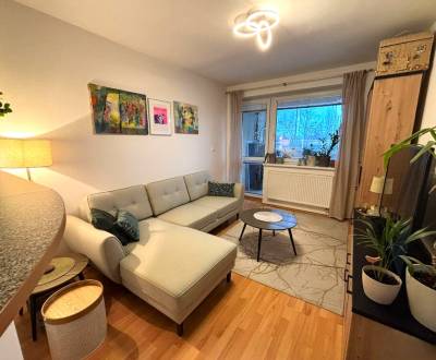 Kiadó 3 szobás lakás, 3 szobás lakás, Mierová, Bratislava - Ružinov, S