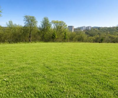 Eladó Építési telek, Építési telek, Kyzkovci, Čadca, Szlovákia