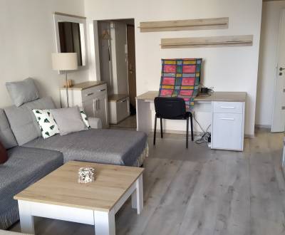 Kiadó 1 szobás lakás, 1 szobás lakás, M.R. Štefánika, Pezinok, Szlovák