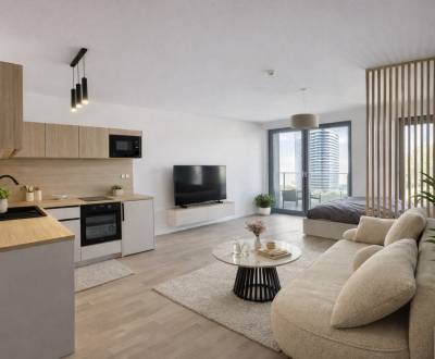 Kiadó 1 szobás lakás, 1 szobás lakás, Bottova, Bratislava - Staré Mest