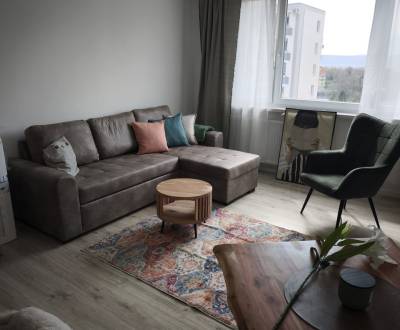 Hangulatos 2 szobás lakás kiadó Pozsony Óvárosában