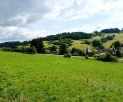 Eladó Telkek - kereskedelmi célra, Telkek - kereskedelmi célra, Ružomb