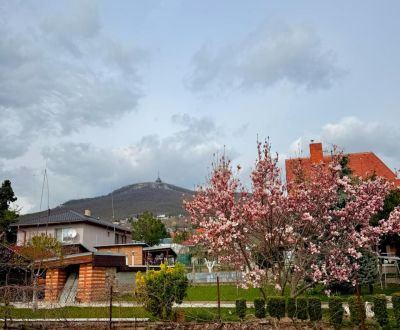 Eladó Családi ház, Családi ház, Metodova, Nitra, Szlovákia