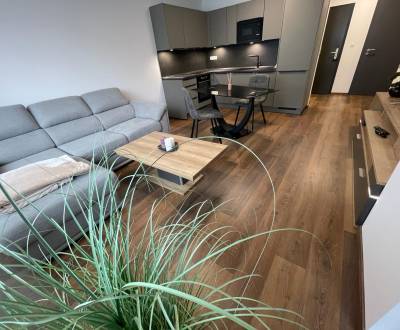 Kiadó 2 szobás lakás, 2 szobás lakás, Novomestská, Trnava, Szlovákia