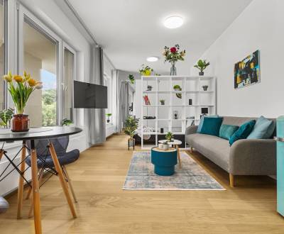 BA IV-Béreljen egy modern berendezésű 1 szobás lakást Ceresne