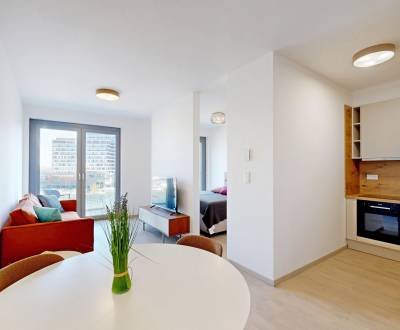 Kiadó 2 szobás lakás, 2 szobás lakás, Bottova, Bratislava - Staré Mest