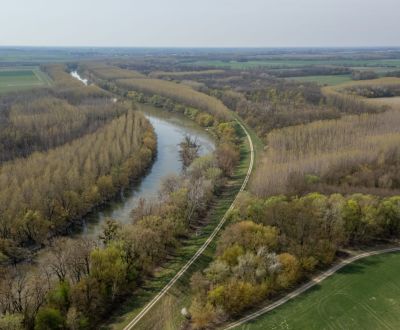Eladó Mezőgazdasági és erdei telkek, Mezőgazdasági és erdei telkek, Ga