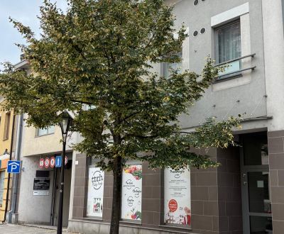 Eladó 1 szobás lakás, 1 szobás lakás, Hornopotočná, Trnava, Szlovákia