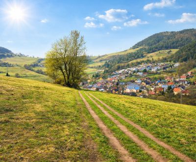 Eladó Mezőgazdasági és erdei telkek, Mezőgazdasági és erdei telkek, Ko