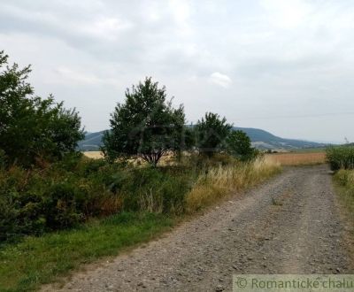 Eladó Mezőgazdasági és erdei telkek, Mezőgazdasági és erdei telkek, Ba