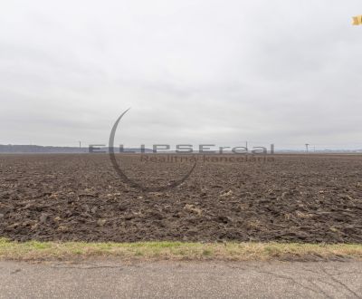 Eladó Mezőgazdasági és erdei telkek, Mezőgazdasági és erdei telkek, Do