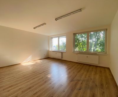 Kiadó Irodahelység, Irodahelység, Priemyselná, Michalovce, Szlovákia