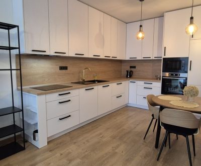 Kiadó 2 szobás lakás, 2 szobás lakás, Alvinczyho, Košice - Staré Mesto