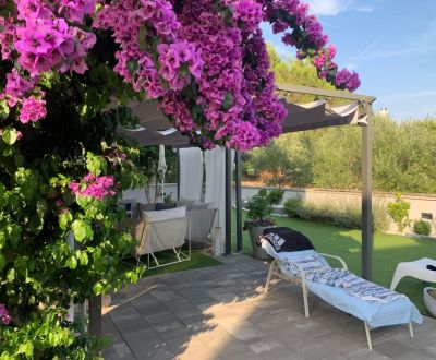 Eladó Apartmanok, Apartmanok, Mulo, Vrsi, Horvátország