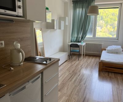 Kiadó 1 szobás lakás, 1 szobás lakás, Majerská cesta, Banská Bystrica,