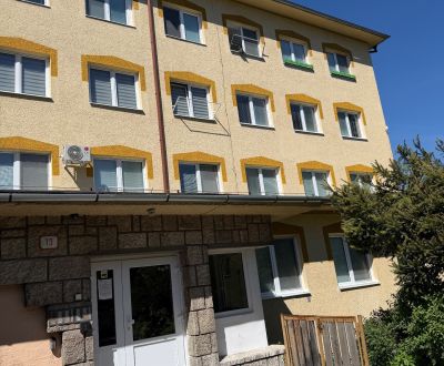 Kiadó 1 szobás lakás, 1 szobás lakás, Lipová, Prievidza, Szlovákia
