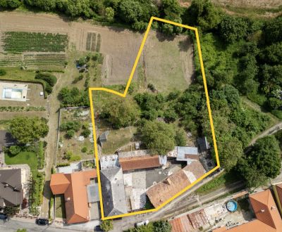 Eladó Családi ház, Családi ház, Brhlovce, Levice, Szlovákia